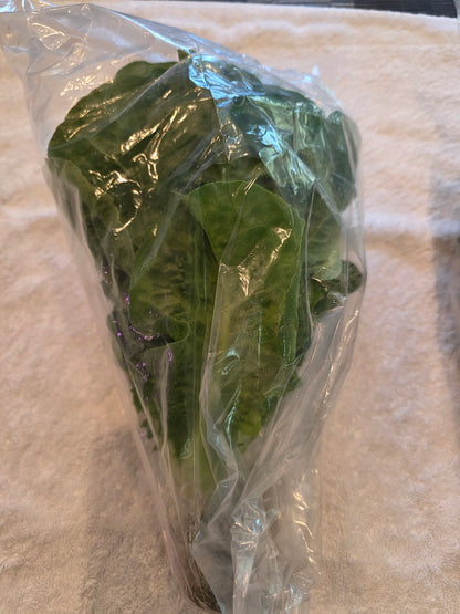 Romain Lettuce